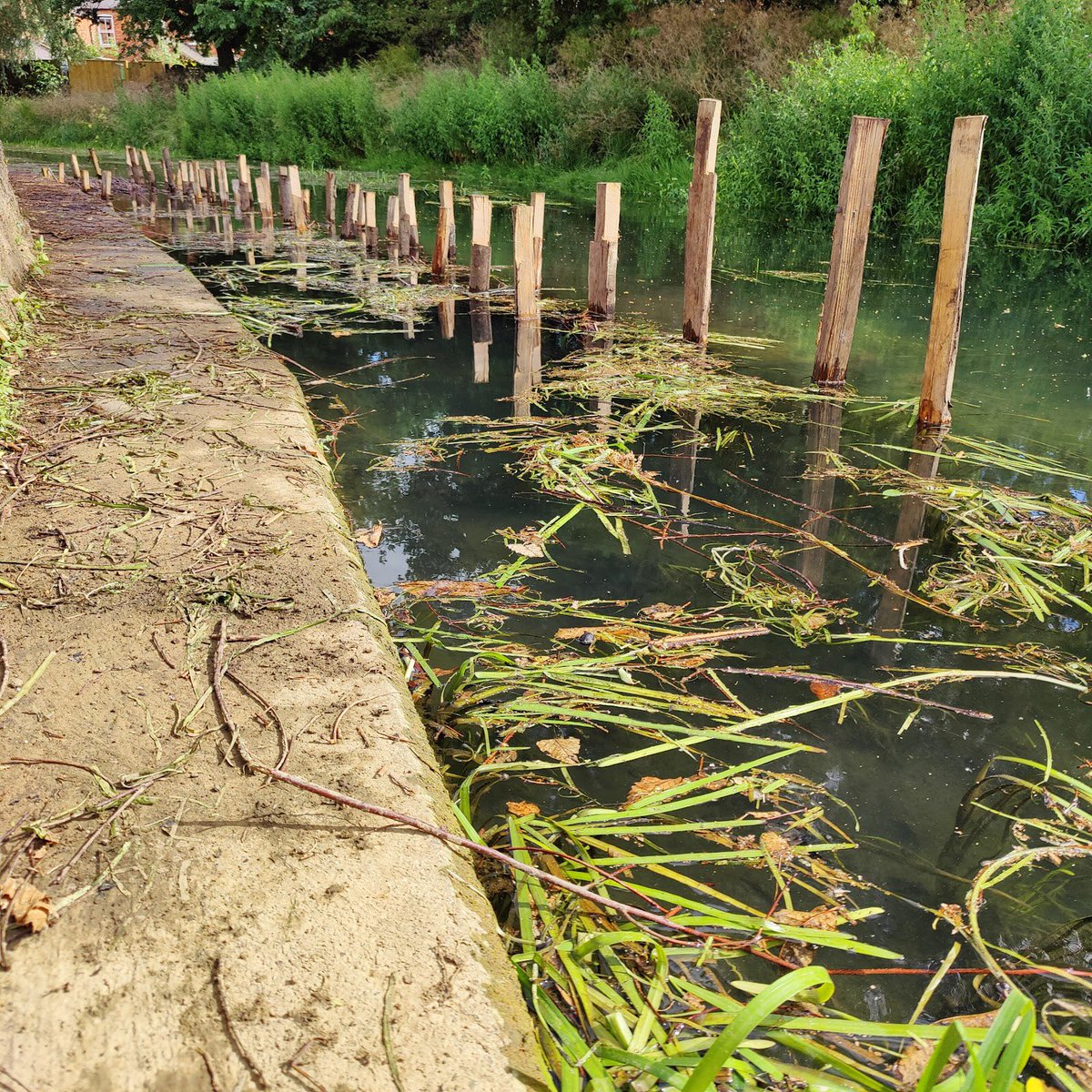 💙💚Another productive day by <a href="/LionsEnv/">Lions Environmental Limited</a> &amp; their #volunteer yesterday. First berm finished and second berm started! We are on site again today at Wyndham Park, come along, see our progress &amp; find out more about the #bluegreencorridor project 🐟💦🐸🌱