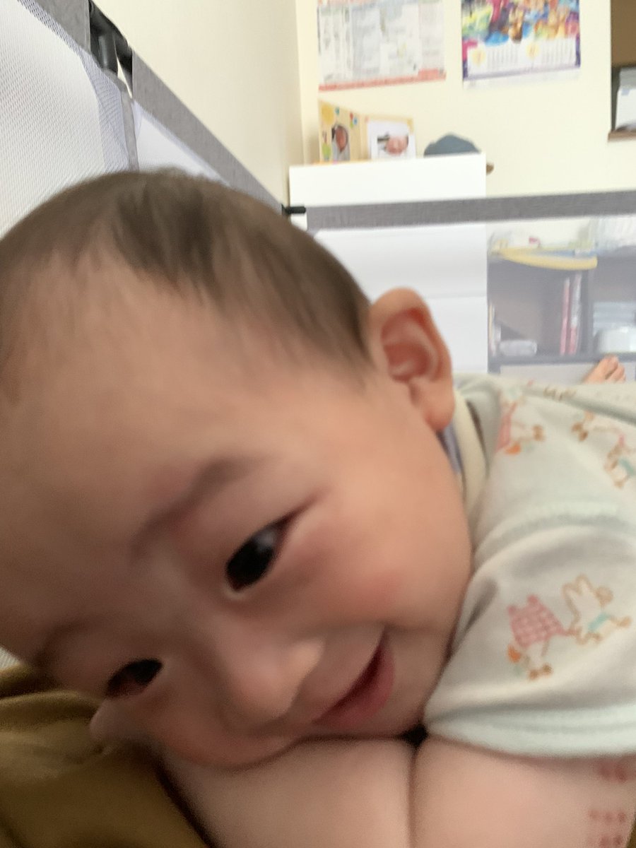 ikimono384's tweet photo. ベビーサークルの中で寝てたら襲われた https://t.co/27fQtqcPmc