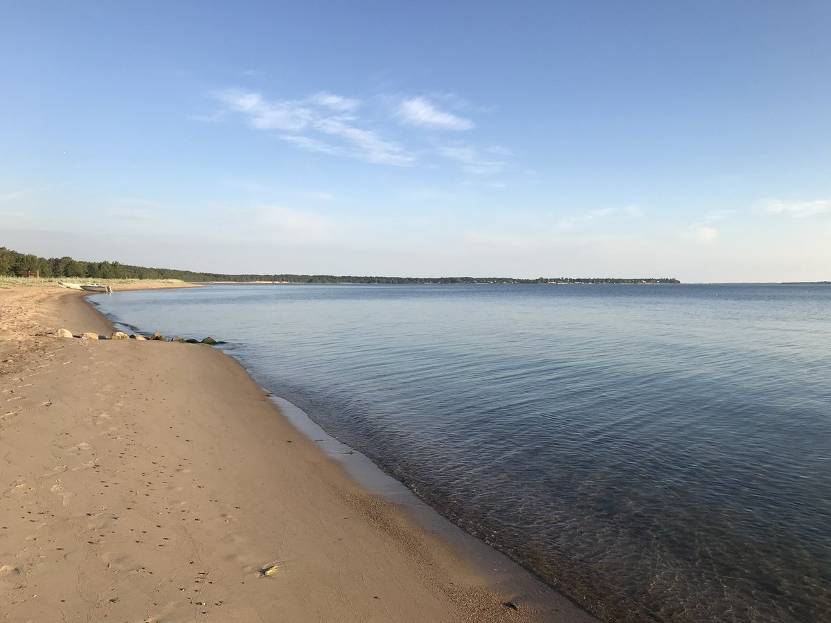 DCEstUK's tweet photo. White nights in Estonia πͺπͺ become the quietest bright mornings.
6am perfect time and temperature for first 10k since becoming a father πββοΈ π
Great coaching from @bennettrun as always #nikerunning #projectfearless https://t.co/rYLiTsz9Vg