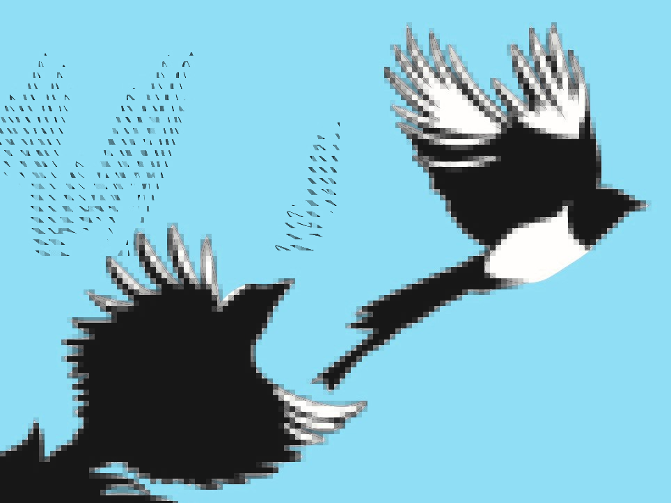 EveBonham's tweet photo. Day 2 of the 5-day Free Promotion of the eBook of my novel DEAR MAGPIES.  Download for FREE until Tues 5th July: https://t.co/GWlzXZGIAe Don't let this opportunity fly away  #amazon #weekendreader #BookGiveaway https://t.co/5th7vnogzB
