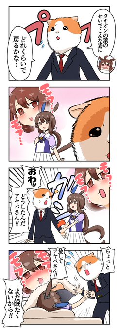 『モルモットレーナー』
#ウマ娘 #アドマイヤベガ 