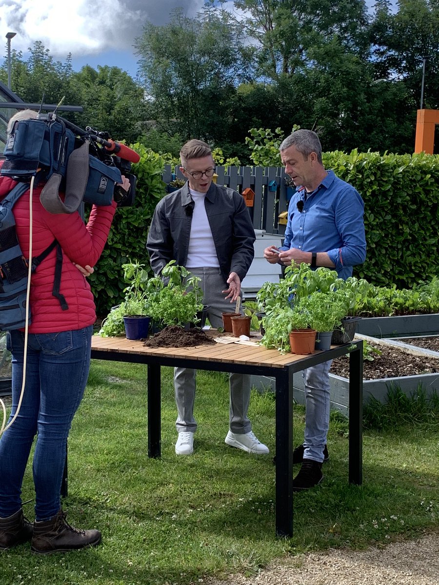 Get Ireland Growing (@energiagig) on Twitter photo The crew from <a href="/IrelandAMVMTV/">Ireland AM</a> are down at <a href="/Grow_HQ/">GROW HQ</a> to kick off the Energia #GetIrelandDay celebrations 🎉
Don’t forget to tag us in photos of your own celebrations and you could win some fantastic prizes 👏
👉 getirelandgrowing.ie/frequently-ask…
<a href="/EnergiaEnergy/">Energia Energy</a> <a href="/giyireland/">GIY</a> The crew from <a href="/IrelandAMVMTV/">Ireland AM</a> are down at <a href="/Grow_HQ/">GROW HQ</a> to kick off the Energia #GetIrelandDay celebrations 🎉
Don’t forget to tag us in photos of your own celebrations and you could win some fantastic prizes 👏
👉 getirelandgrowing.ie/frequently-ask…
<a href="/EnergiaEnergy/">Energia Energy</a> <a href="/giyireland/">GIY</a>
