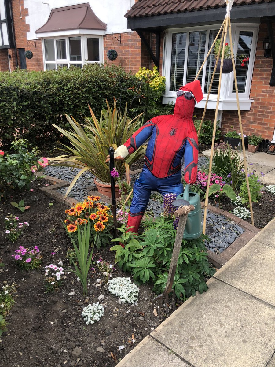 JOGLEmarko's tweet photo. The Pinders Green Spider-Man Scarecrow is back! He’s finished in the bathroom and is not climbing up drainpipes this year so instead he’s chilling in the front garden 🪴 #methley #mickletown https://t.co/3N2XfML4Ee