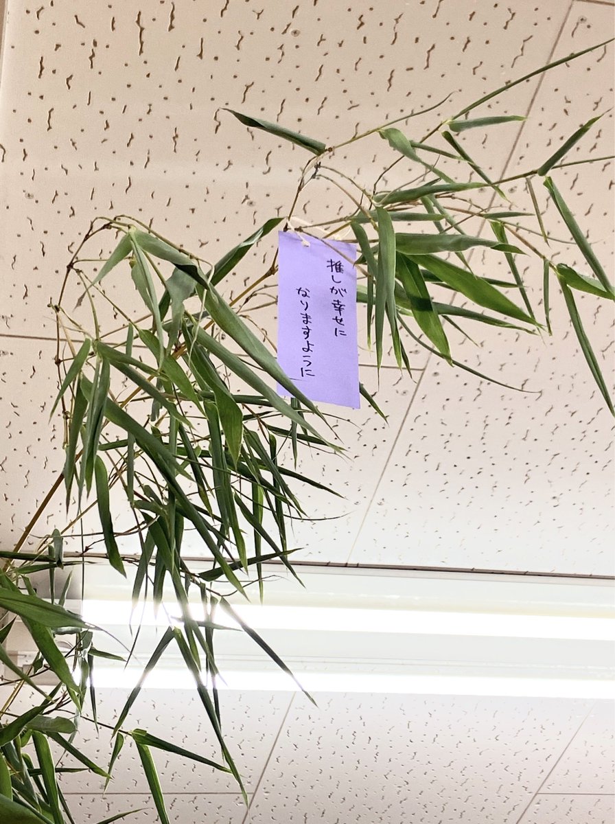毎年職員もちょこちょこ書いてる短冊🎋

全推しに幸せになってほしい思いを込めて一番天井に近いところに釣った 