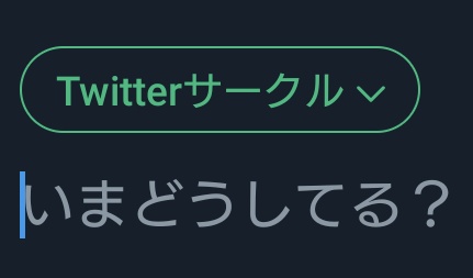 arin__2021's tweet photo. つまりこれによって実質特定のツイートに鍵かけることができちゃうってことですか？ https://t.co/BALuJGATDP