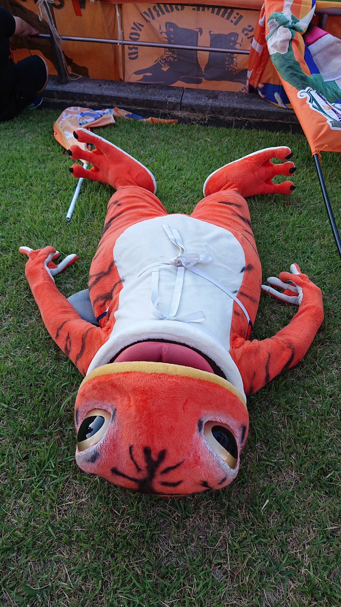 Akikode 一平くん がゴール裏に来た 愛媛fc T Co H7agz31etf Twitter Akikode 一平くん がゴール裏に来た 愛媛fc T Co H7agz31etf Twitter