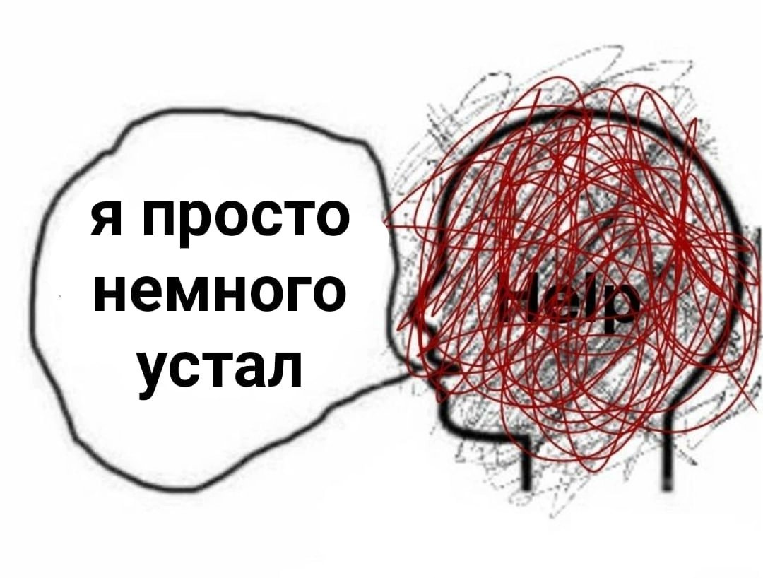 🐸Великое Колено🐸 (@great_knee) on Twitter photo 