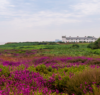 theworkingmum's tweet photo. Dunwich Heath Walk  - Suffolk 
https://t.co/NFdxSSXFM3
https://t.co/5veHZsznt5
#visitsuffolk #exploresuffolk https://t.co/9SivoNmf07
