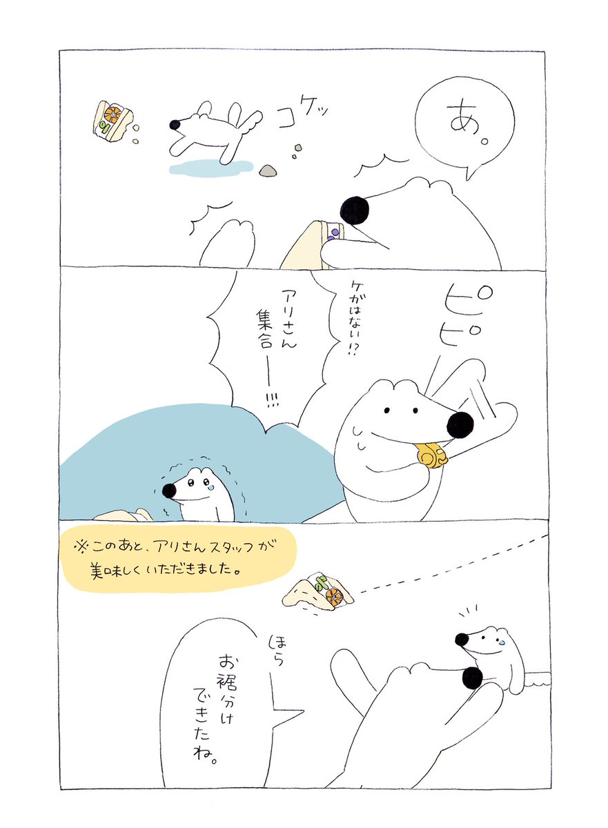 フルーツサンド🍊🍓🍇
「好きなお花をえらんで。」 