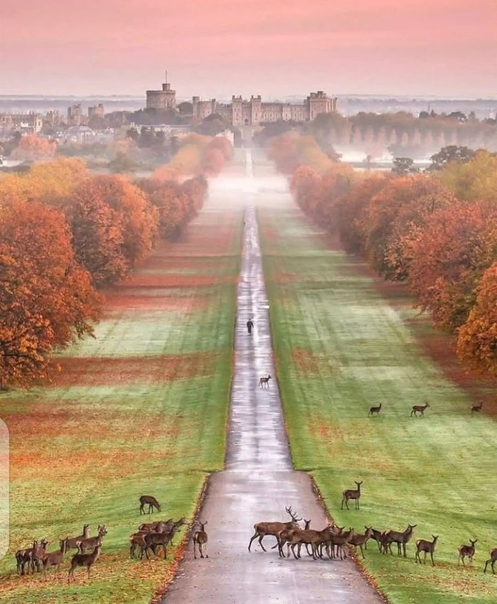 fiz_iiz's tweet photo. #weekendvibes #LoveIsland #NaturePhotography #photo #beautiful #pixelart #artist #LoveTwitter #Walk2Valley https://t.co/rAivTEqGss