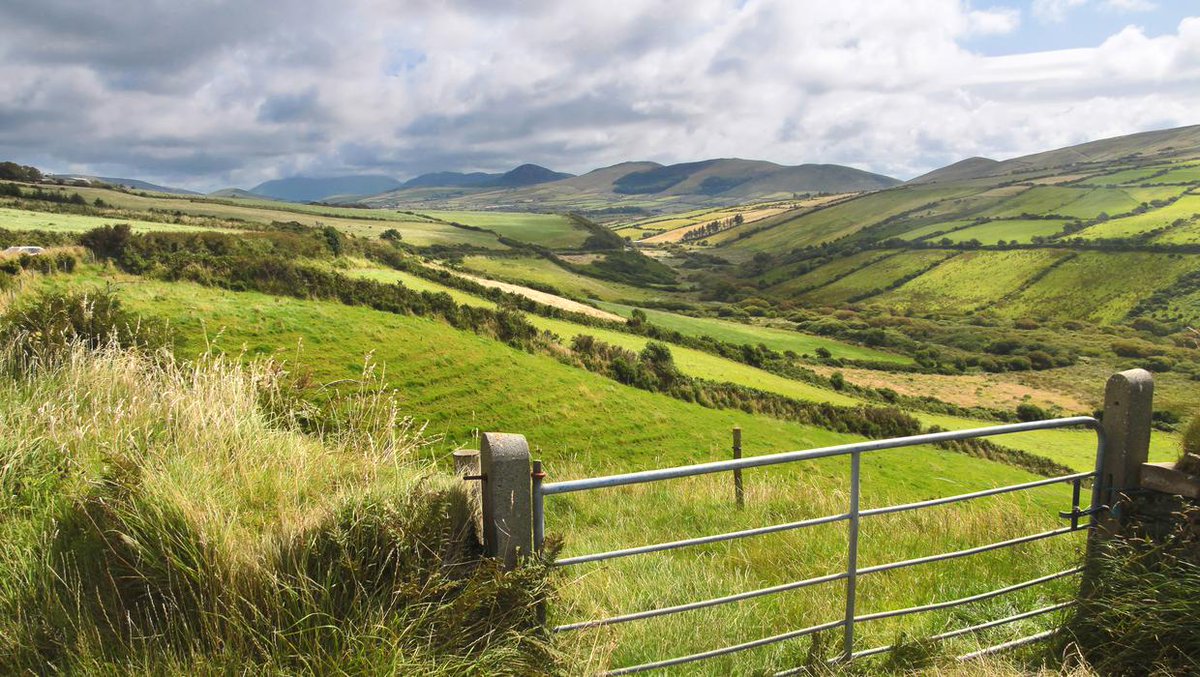 lorraineelizab6's tweet photo. -Cluain na nGall "meadow of the foreigners"
-Cluain Tarbh "meadow of bulls/the bull"
-Cluain Mhic Nóis "meadow of the Sons of Nós"
-Cluain Eraird "Erard's Meadow"
-Cluain meala "meadow of honey"
-Cluain Ard "high meadow"
-Cluain Sceach "meadow of the whitethorn"
#MeadowsDay https://t.co/Ijw5J63Atg