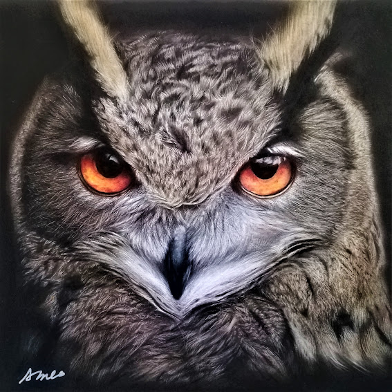 フクロウのtwitterイラスト作品 フクロウのtwitterイラスト作品