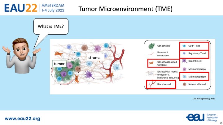 Biomarkers in uro-oncology: From bench to bedside 🔬🦠 - #EAU22 #ESUP #ESUR @Uroweb Speaking about the potential of certain tumor microenvironment markers in bladder cancer! ⚖️ #EAU22 @GevaertThomas @TimMuilwijk @joniau @muratakand06 @CaBLe_UZL