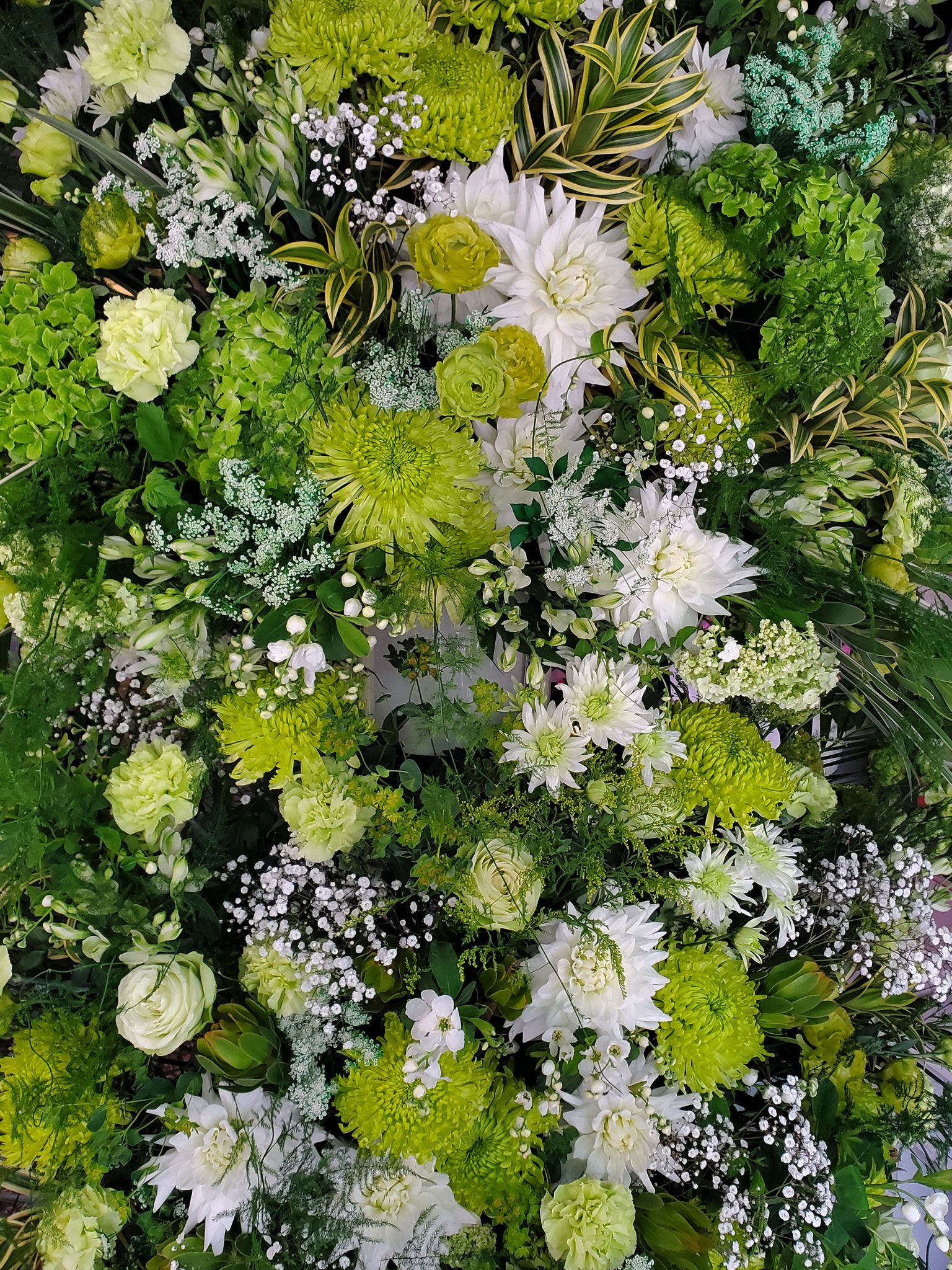 緑の花 Twitter Search Twitter