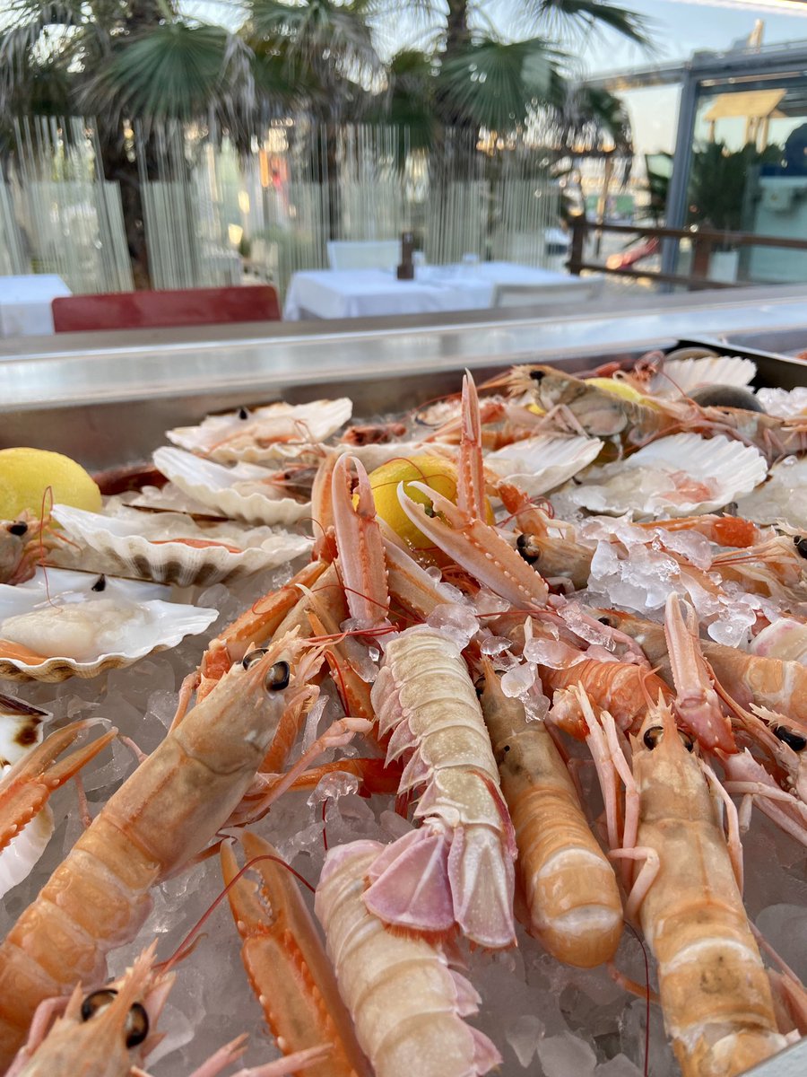 AttilioBeach's tweet image. L’aperitivo al #fishbar dell’ #attiliobeach a #milanomarittima è veramente stupendo 🤩
