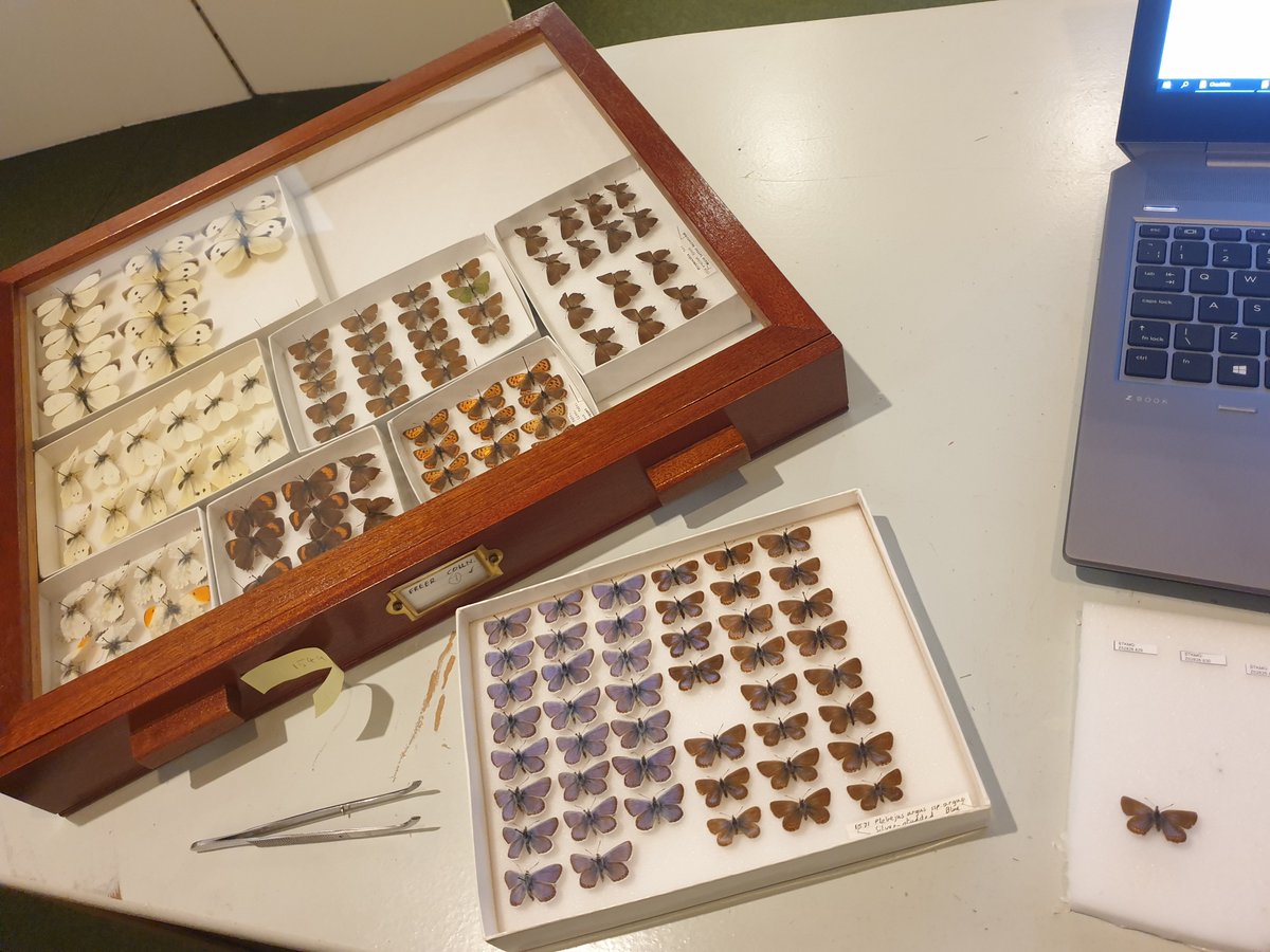 The Potteries Museum & Art Gallery (@potteriesmuseum) on Twitter photo Today you can find the Curator of our Natural Science Collections in the museum. Say hi, find out what a curator does and ask any natural history questions you might have! #AskaScientist #AskaCurator <a href="/PMAGlearning/">PMAG Learning</a> <a href="/kidsinmuseums/">Kids in Museums</a> <a href="/fantasticforfam/">Fantastic for Families</a> <a href="/SoTCityCouncil/">Stoke-on-Trent CC</a> Today you can find the Curator of our Natural Science Collections in the museum. Say hi, find out what a curator does and ask any natural history questions you might have! #AskaScientist #AskaCurator <a href="/PMAGlearning/">PMAG Learning</a> <a href="/kidsinmuseums/">Kids in Museums</a> <a href="/fantasticforfam/">Fantastic for Families</a> <a href="/SoTCityCouncil/">Stoke-on-Trent CC</a>