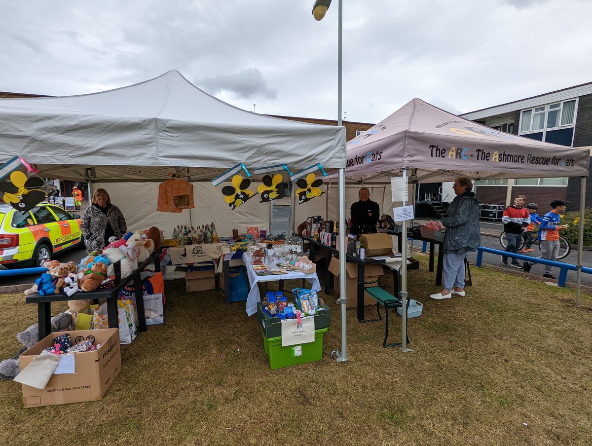AshmoreParkHub's tweet photo. It's all go at the #Stuff4Steph fun day - there's tons of free activities & entertainment for all of the family down at Ashmore Park shopping parade! https://t.co/JDyVrWq9fx
