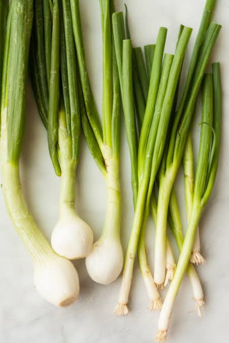 jinuxen's tweet photo. They imitating the green onion because of their outfit😭 https://t.co/J6JQwnHjgq