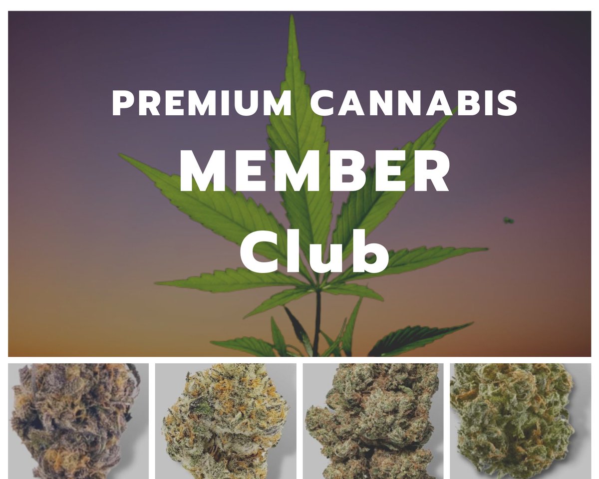 fingun13's tweet photo. Permium Cannabis #ONEDAYMEETWITHใต้หล้า #กัญชาเสรี #ThailandWantsDreamcatcher #WeedLovers #phuket #Pattaya #pattayanightlife #Thailadyboy #ThaiGL https://t.co/EPpWB9f5lJ