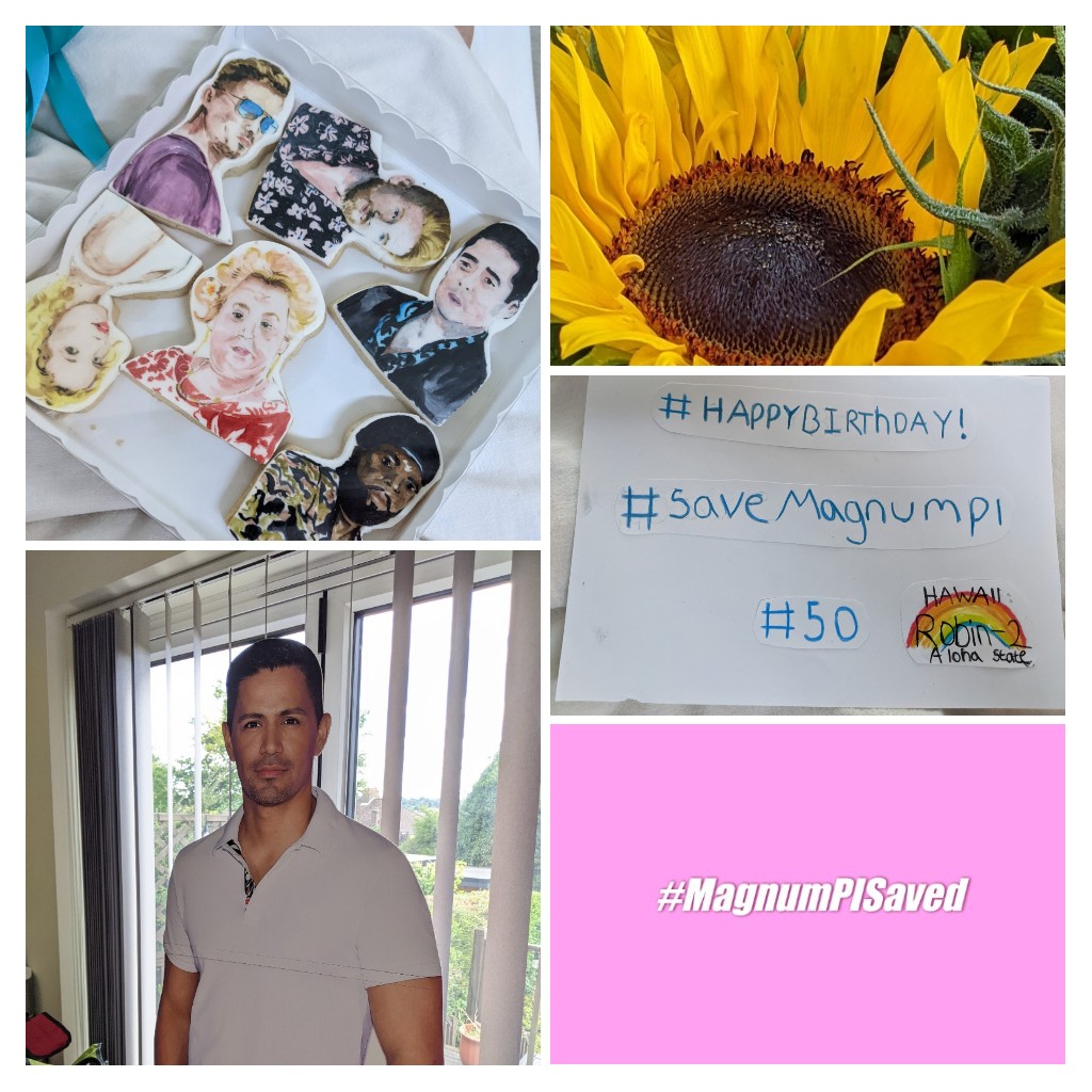 High-on-a-Hill 😞 #saveMagnumPI for S6 tweet media