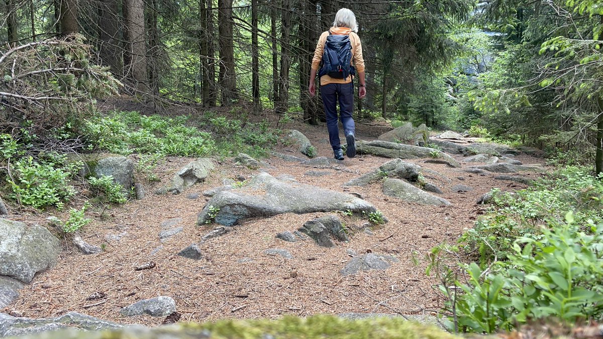 WanderWellness's tweet photo. Urlaub in Bayern - wer kommt mit auf #EntdeckerTour durch #Franken?
https://t.co/BbFyN9cjKZ https://t.co/49W0T1OBc9