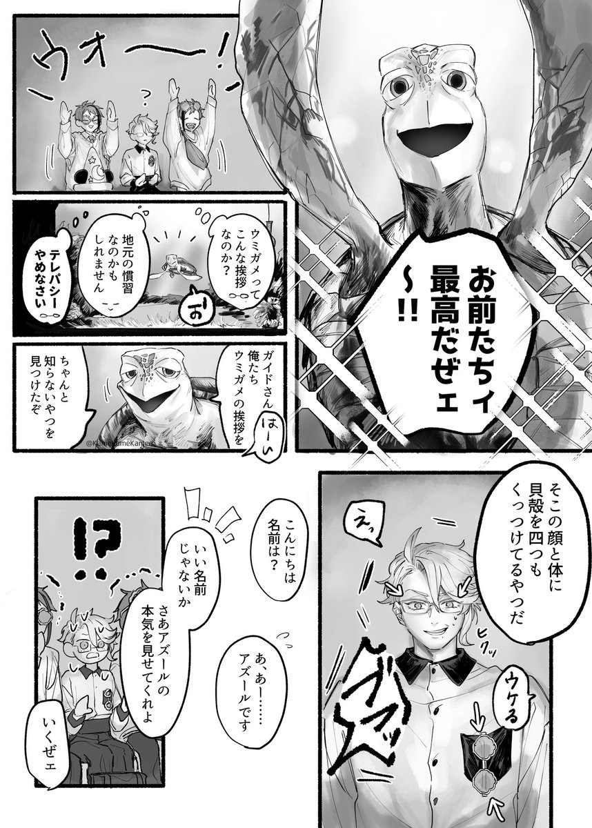 ④ウミガメの挨拶 