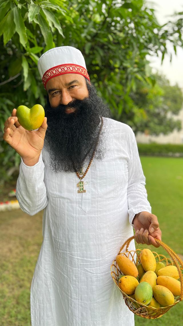 Papa Jaan ❤️ @Gurmeetramrahim
😍😍😍😋🥭🥭 #Shukrana
 heart shaped Mangoes 🥭🥭🥭🥭🥭🥭🥭🥭🥭🥭🥭🥭🥭🥭🥭🥭🥭♥️♥️♥️
#mango #kingoffruits #foodphotography #organicgardening #homegrown #MSG #SaintDrMSG #nutrition #ayurvedalifestyle #instafood #mangoseason #reelsindia  #barnawaat7am