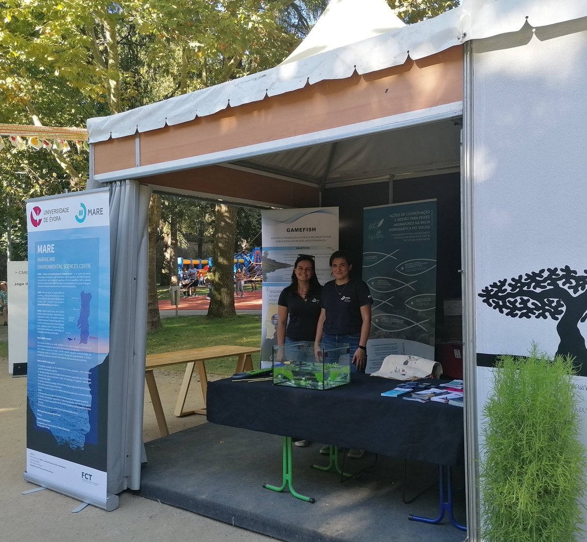 Sara Silva (@sarasrsilva11) on Twitter photo Sharing our work with people and connecting them for fish and fisheries. 🐟 Is this fish tagged?? 🔍
<a href="/univdeevora/">Universidade Évora</a> <a href="/MARE_centre/">Bianka Galik❄</a>
<a href="/AtlanticArea/">Interreg Atlantic Area</a> #DiadESproject
<a href="/LifeAgueda/">Life Águeda (LIFE16 ENV/PT/000411)</a> <a href="/Anadromos2/">AnadromosPT</a> #Salmonlink_project Sharing our work with people and connecting them for fish and fisheries. 🐟 Is this fish tagged?? 🔍
<a href="/univdeevora/">Universidade Évora</a> <a href="/MARE_centre/">Bianka Galik❄</a>
<a href="/AtlanticArea/">Interreg Atlantic Area</a> #DiadESproject
<a href="/LifeAgueda/">Life Águeda (LIFE16 ENV/PT/000411)</a> <a href="/Anadromos2/">AnadromosPT</a> #Salmonlink_project