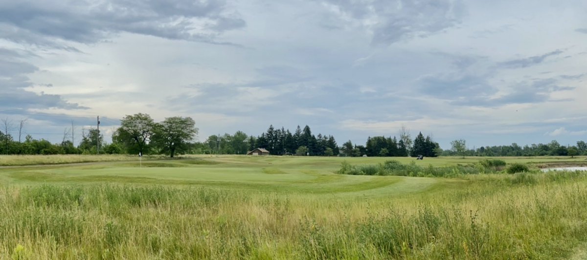 Tee 2 Green tweet media