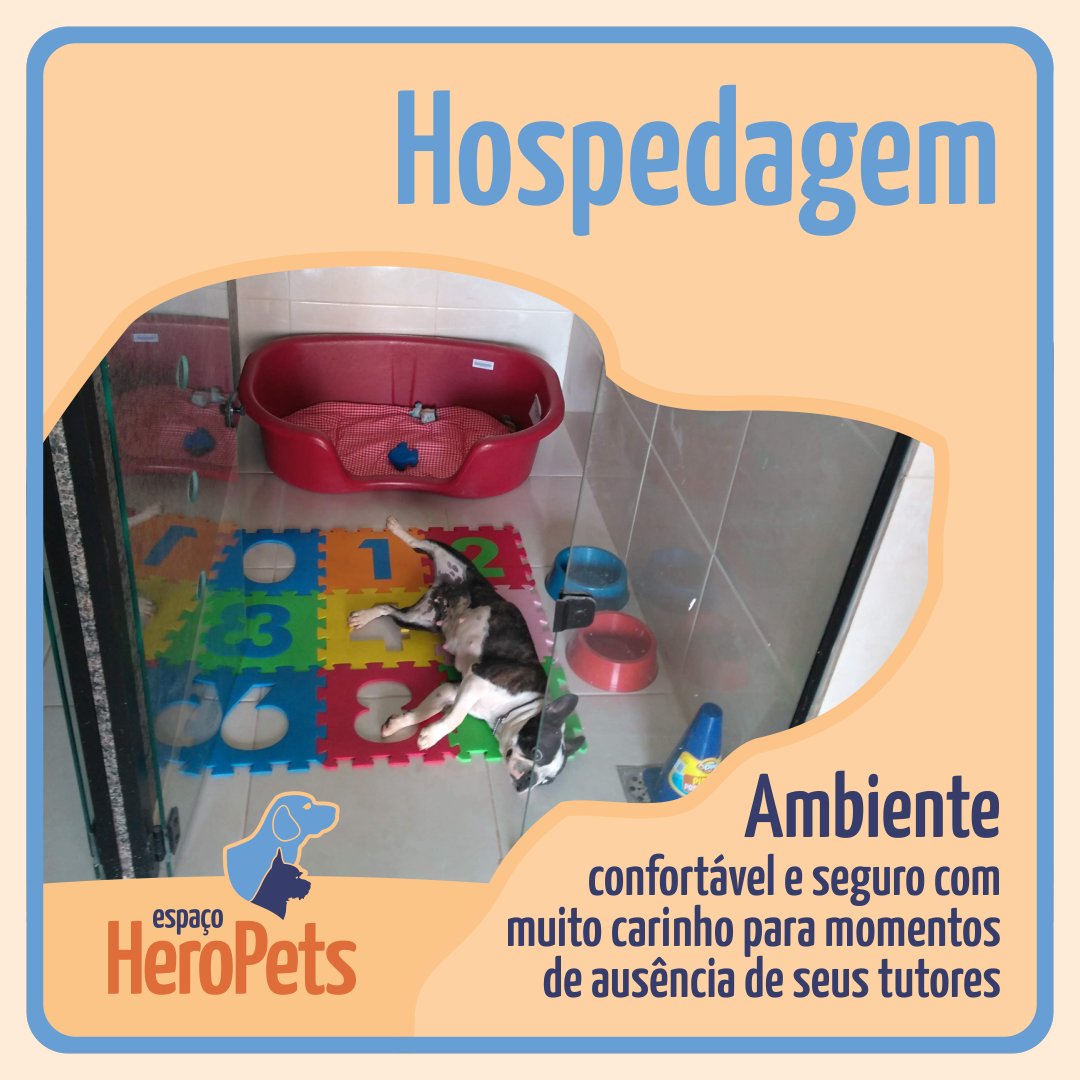 EspacoHeroPets's tweet image. Assim como a família programa com antecedência sua hospedagem, reserve com antecedência a estadia do seu pet também, para garantir os melhores cuidados.

📲 Entre em contato pelo nosso whatsapp 61-985079522 e garanta a vaga do pet.