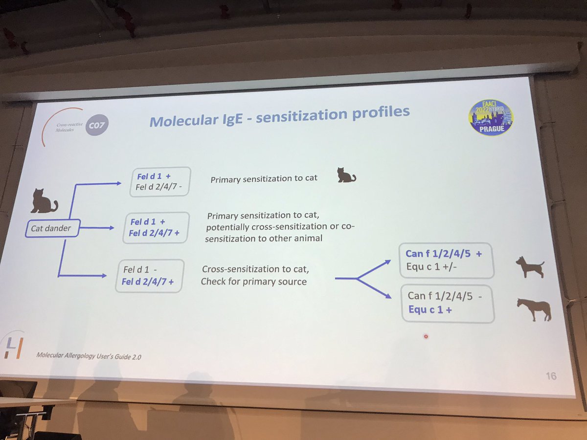 If #IgE to Fel d 1 is negative in patients with symptoms of a cat allergy -> make sure to check for cross-reactions (e.g. to dog) Find comprehensive guidance on #MolecularAllergology in the #MAUG2 User’s Guide! #eaaci_2022