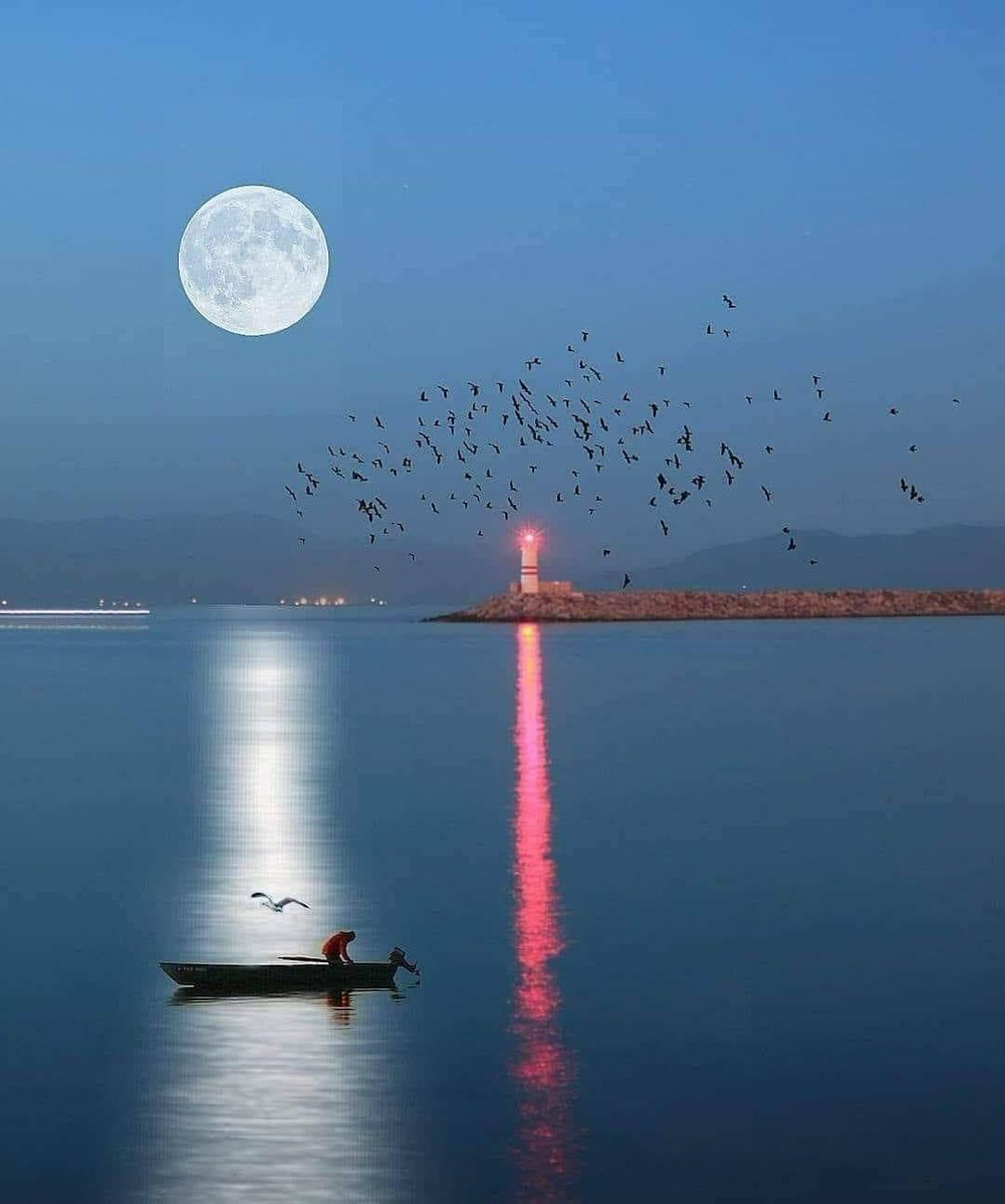 Lighthouses are not just stone, brick, metal, and glass. There's a human story at every lighthouse; that's the story I want to tell.
Elinor DeWire