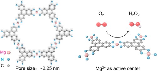Design and investigation of Mg-based catalysts toward H2O2 electrosynthesis from oxygen, with opportunities for the utilization of main-group element-based catalysts for electrocatalysis applications. Quan Li, Dongwei Ma, Xuping Sun, et al go.acs.org/1yE