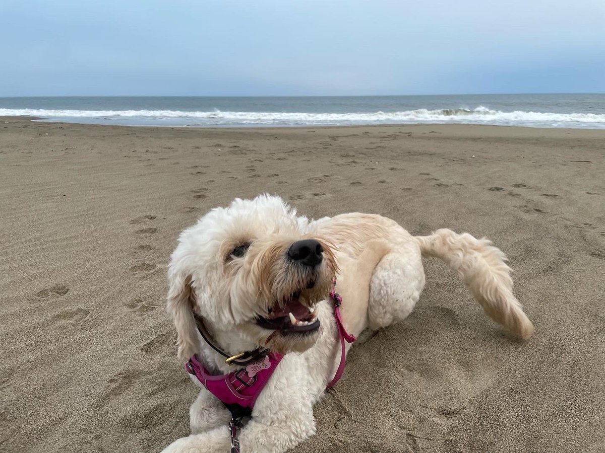 JiulingYang's tweet image. 