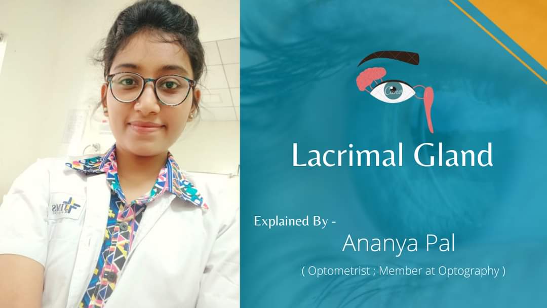 Optography8's tweet photo. YouTube link : https://t.co/F43JGbu4Q3

🤩 Visit our YouTube Chanel, Watch about Lacrimal Gland !! 👁
Like, share, Subscribe &amp; press bell icon for regular updates! 🔔 

#healthyeyes #eyecare
#optometry #Optography 
#Optographyyoutube 💚👁🤟🏻 https://t.co/HVVL1Ve325