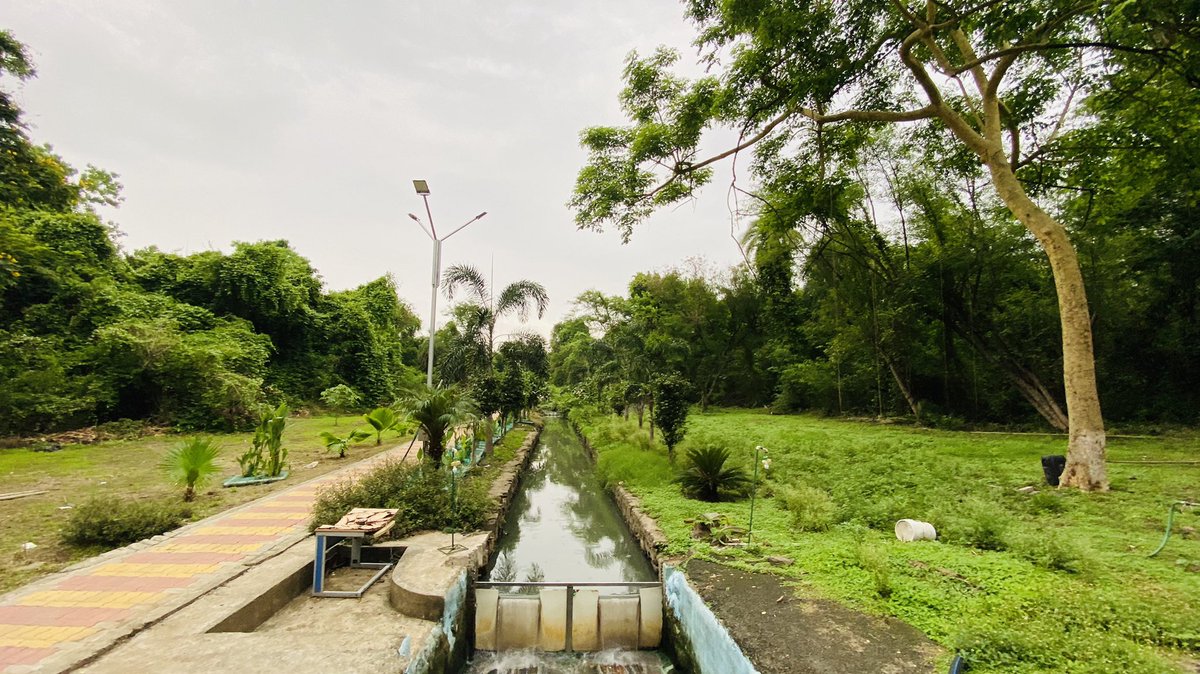 RiteshVijay6's tweet photo. Shades of #green around @CSIR_NEERI in-situ drain treatment system named #RENEU (REstoration of Nallah with Ecological Units). https://t.co/NZgl8JSDSm