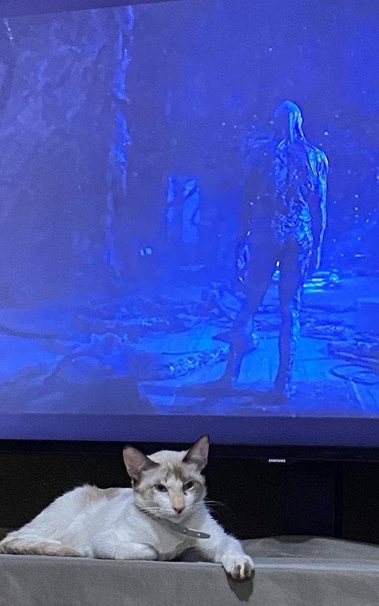 maihtos's tweet photo. @TrickzKamikaze fuck you and vecna’s ass https://t.co/ivFOmCj0ph