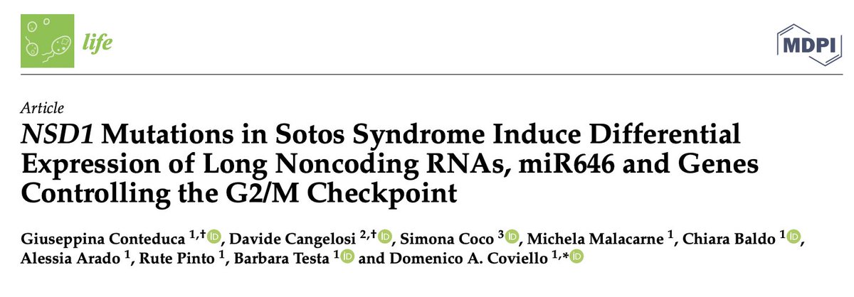 DomenicoCoviel1's tweet photo. New discovery. #NSD1 may participate in #Sotos syndrome’s mechanism of action by regulating the function of lncRNA, inducing the down-expression of GSC, NDRG2 and SORBS1 and the up-expression of SFN and ZNF883. Thanks #ASSIGulliver and #Gaslini Institute. https://t.co/hdKWV37GCl https://t.co/IbeQvXEe3v