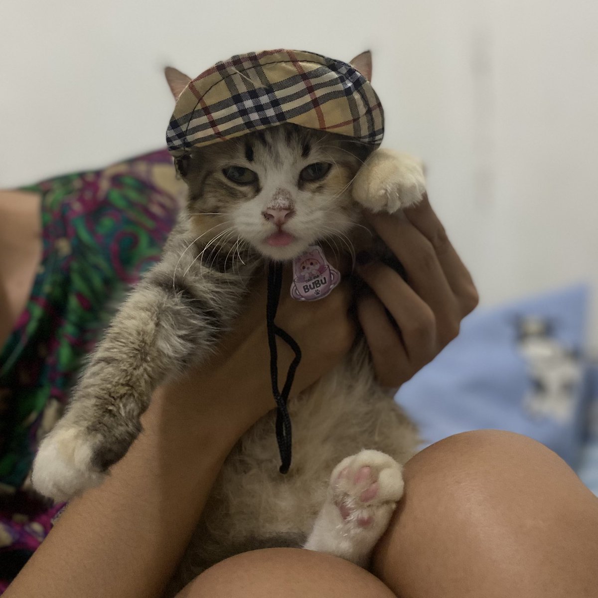 Dochi Sademeow ! #pwgtilldie