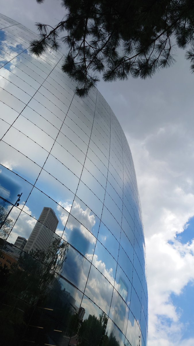 Stadje 🥰🥰🥰

#depot #Rotterdam #fotograafrotterdam