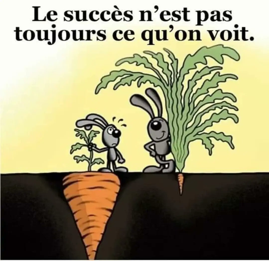 Little reflection before congratulating students for a 19th Prize Giving Day as a teacher. Success is not always seen straight away, go confidently in the direction of your dreams lovely students! 🥰 #teacherslife #happyandsad