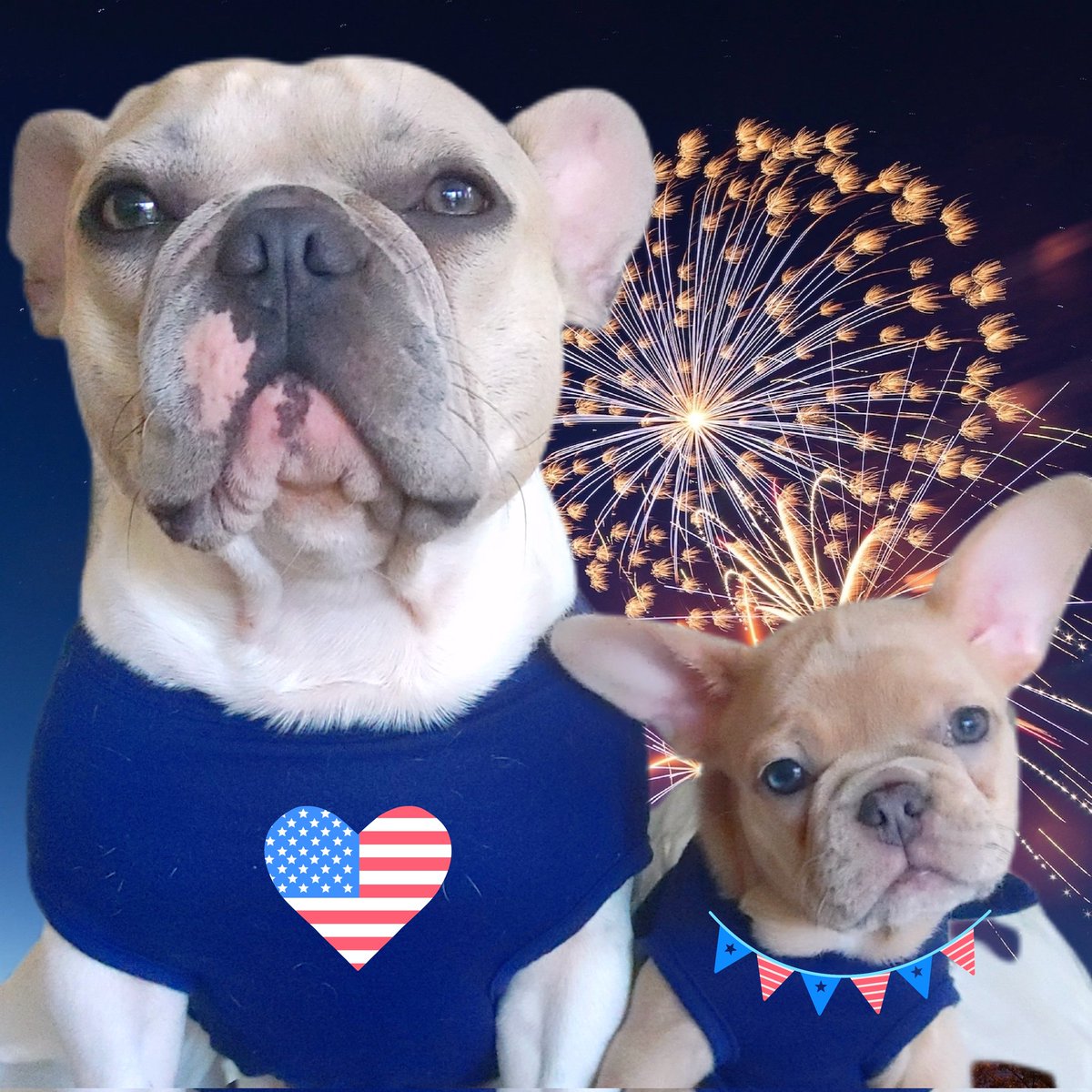 Mama Olive and Babette wishing everyone a Happy 4th of July weekend #4thofJulyWeekend #dogsoftwitter #opener2022