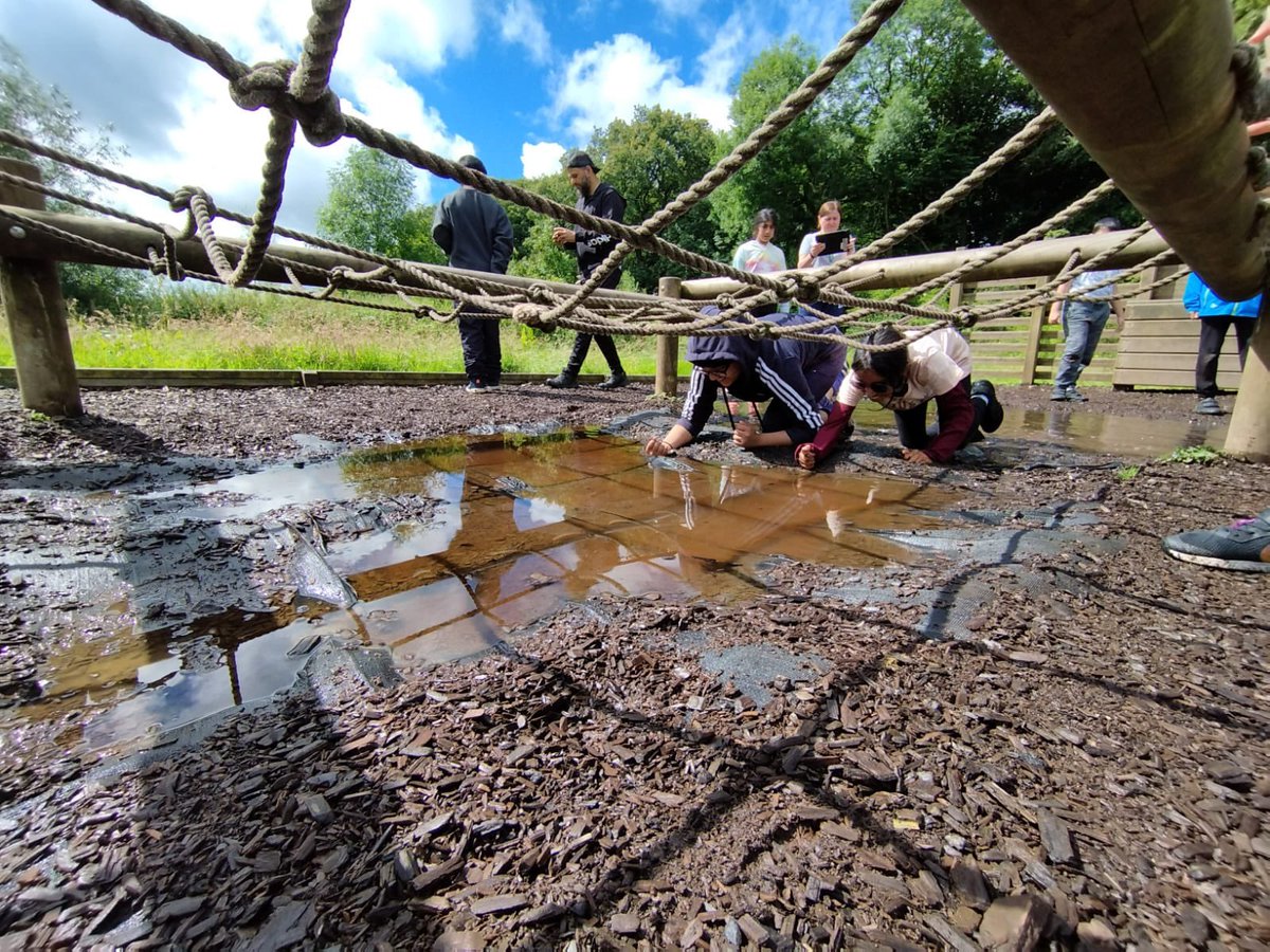 group 1 have thoroughly enjoyed the challenge course this morning