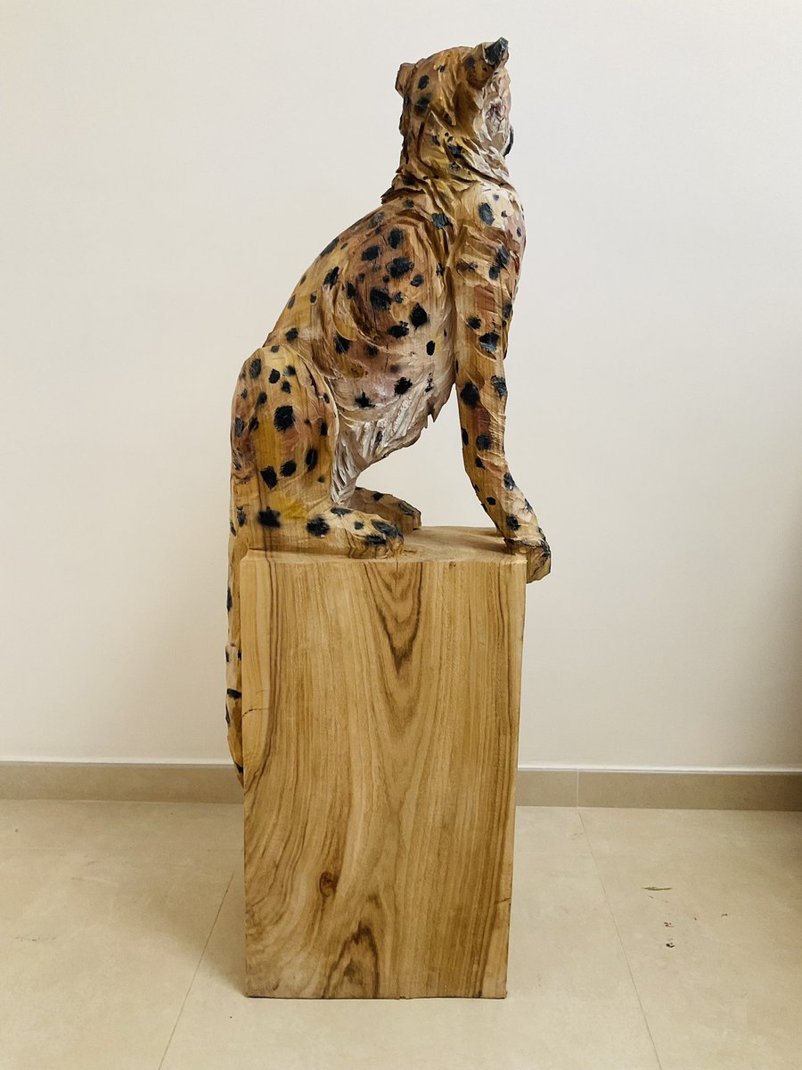 KCjoe (@kcjoe2022) on Twitter photo 