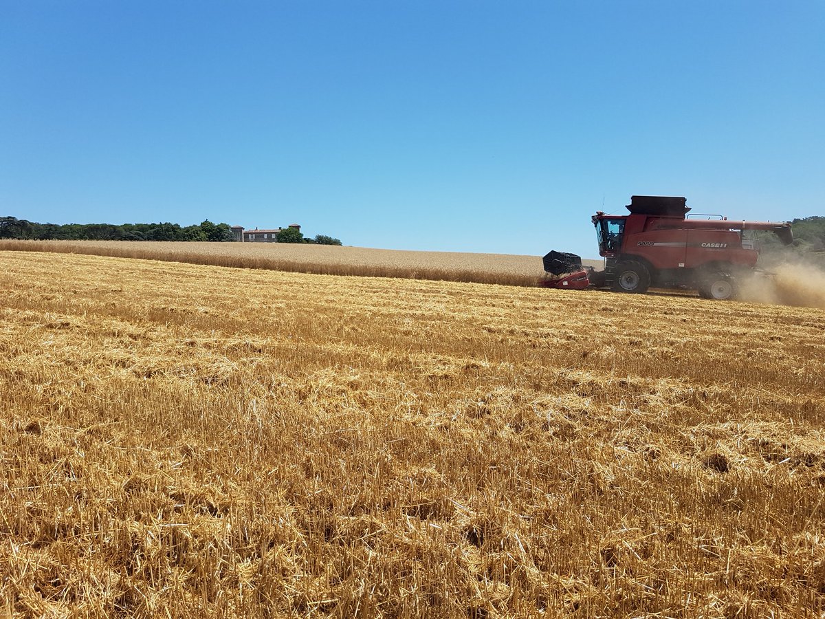 Cyril Hamot (@hamotcyril) on Twitter photo 