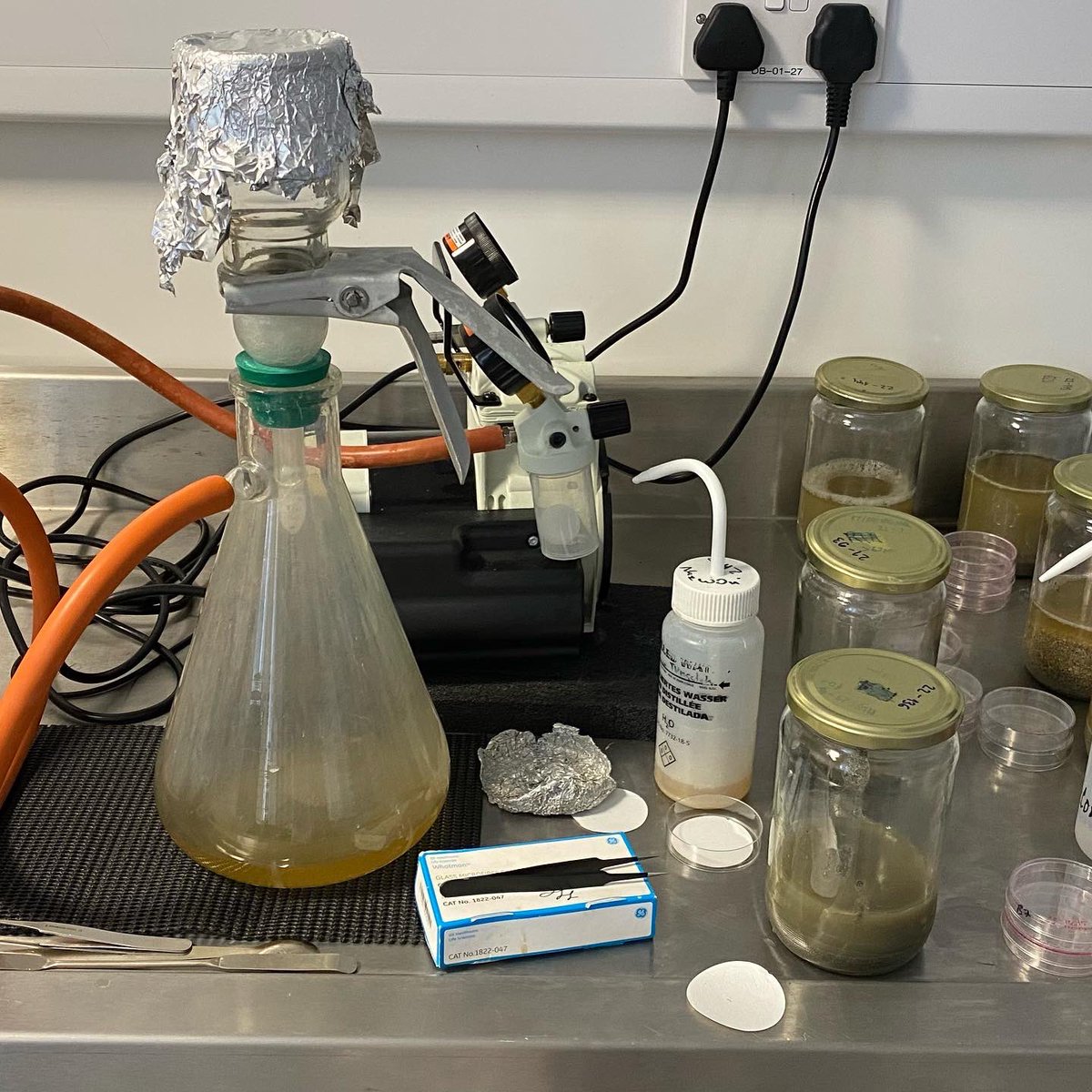 Katelyn (@katelynhk21) on Twitter photo I’ve just finshed my first week as a research assistant at <a href="/atu_ie/">Atlantic Technological University</a> <a href="/MfrcATU/">ATU MFRC</a> where I’ve been looking at microplastics in coastal sediments 🔬
I’ve also got to meet some amazing Masters and PhD students who I’m learning a lot from!
#research #marinescience #microplastics I’ve just finshed my first week as a research assistant at <a href="/atu_ie/">Atlantic Technological University</a> <a href="/MfrcATU/">ATU MFRC</a> where I’ve been looking at microplastics in coastal sediments 🔬
I’ve also got to meet some amazing Masters and PhD students who I’m learning a lot from!
#research #marinescience #microplastics