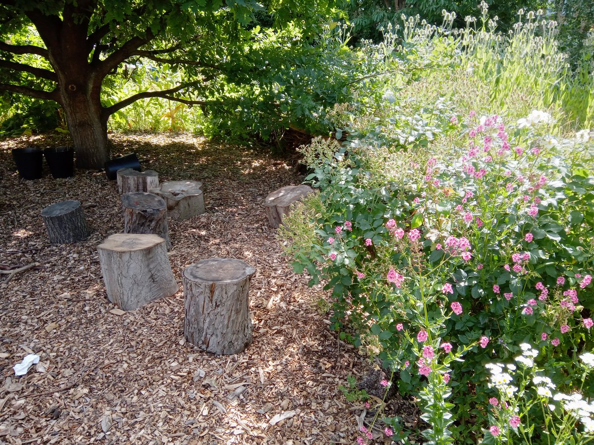 AMEDnetwork's tweet image. .@rootshoot is an educational charity. During our celebration event we explored the gardens where they provide environmental education for schools and the local community.