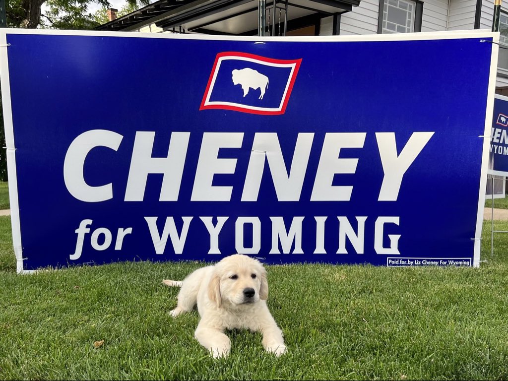 Liz_Cheney's tweet image. Clover says: Vote for Liz. August 16. Early voting happening now.