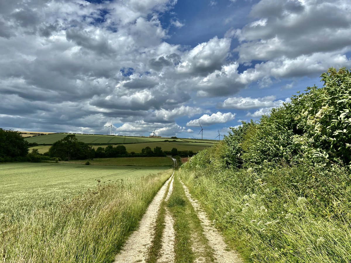 WeatherWolds's tweet photo. Angry Clouds. 19°C and mostly dry. Goldfinches. https://t.co/LPUoCSUzNl