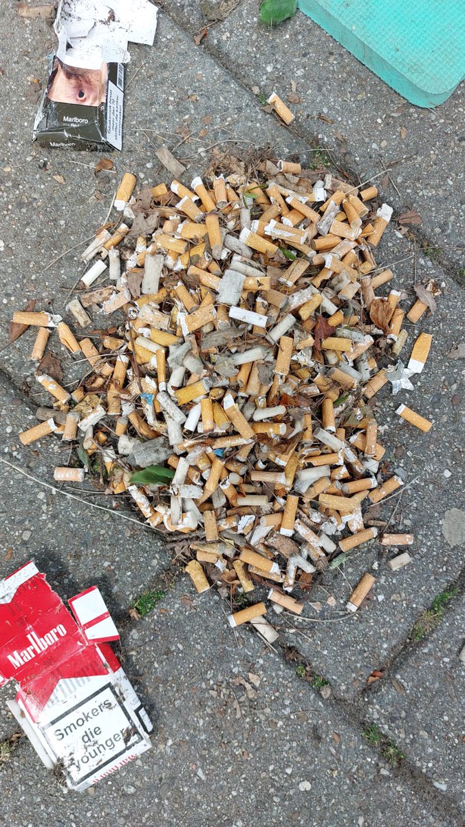 GocleanD's tweet photo. Prijsvraag vanuit @ajlveurink: hoeveel filters zijn dit? Diegene die het dichtste bij in de buurt zit krijgt een mooie metalen bidon van @TulperNL via de post opgestuurd! Succes! #PlasticPeukmeuk
#PlasticButtSmut
#nofilterplease
#ButtWhy
#liveverslag
#GoClean #prijsvraag https://t.co/CEu8Gs5JEN